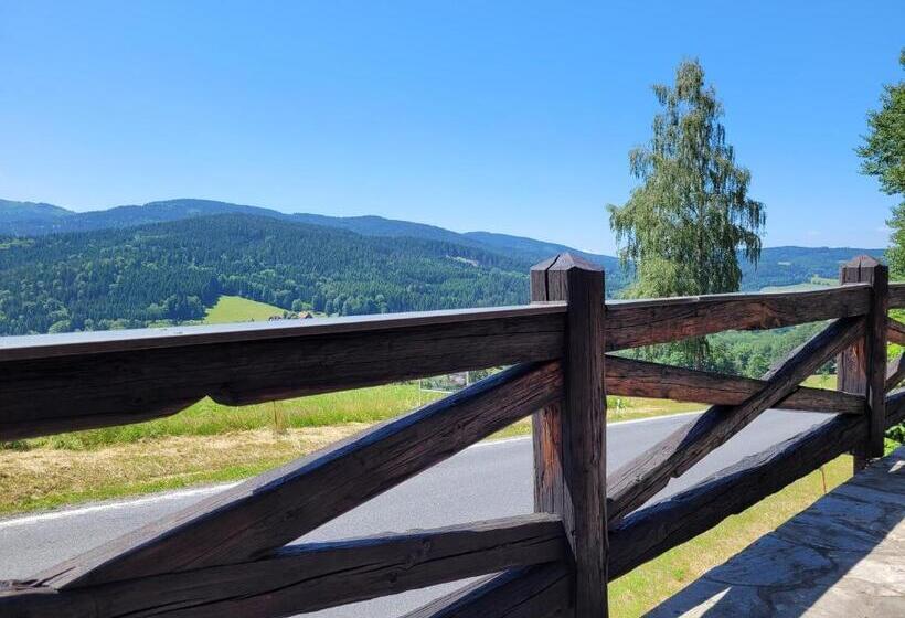 スタンダード4人部屋, Berry