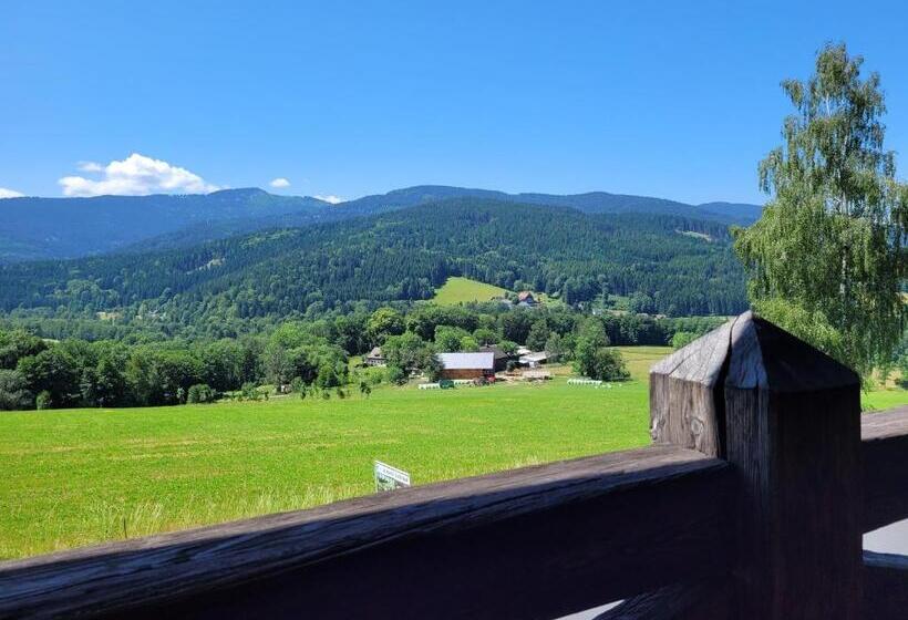 スタンダード4人部屋, Berry