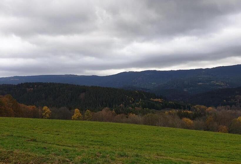 スタンダードルーム, Berry