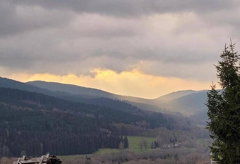 スタンダード4人部屋, Berry