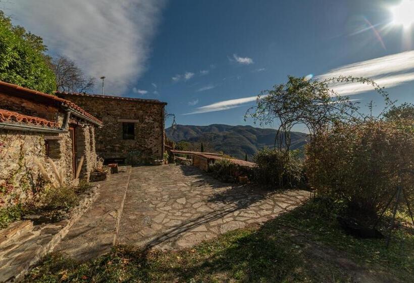 غرفة قياسية رباعية, Suite Rosas