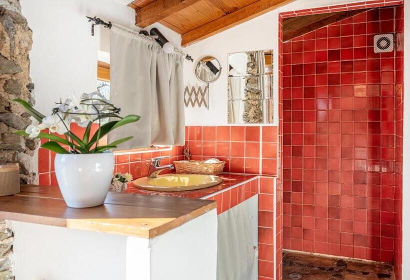 غرفة قياسية رباعية, Suite Rosas