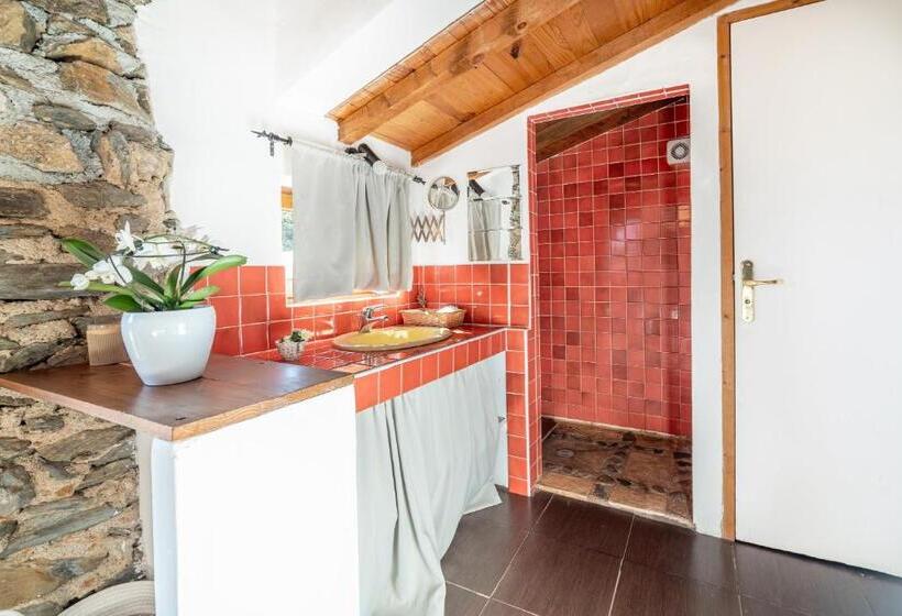 غرفة قياسية رباعية, Suite Rosas