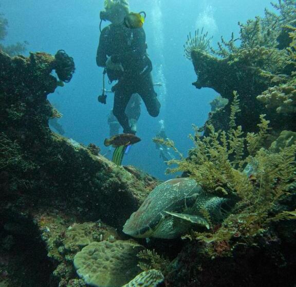 غرفة ديلوكس مطلة على حمام السباحة, Melasti Mountain Villa, Amed Bali   Agung Room 2