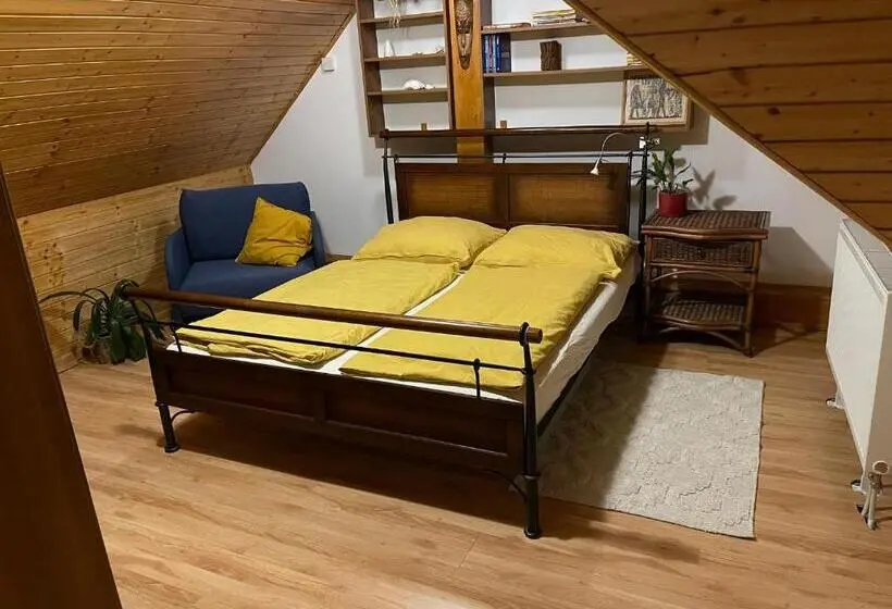 Standard Neljän Hengen Huone, Penzion Olga Hajasova