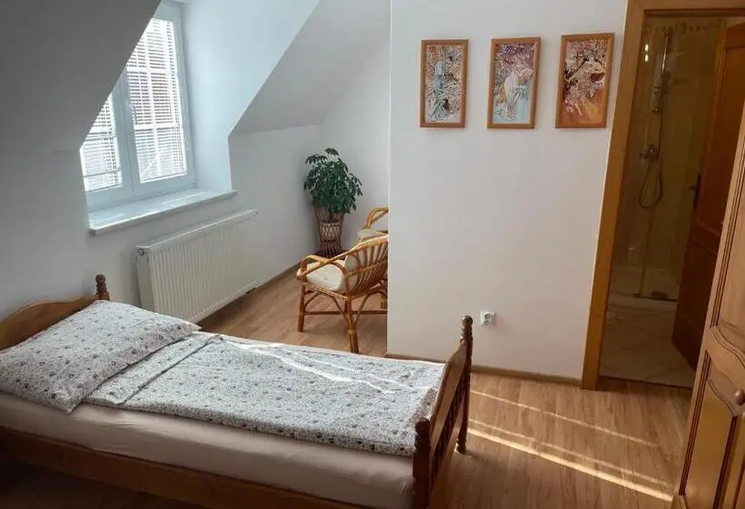 Standard-huone, Penzion Olga Hajasova