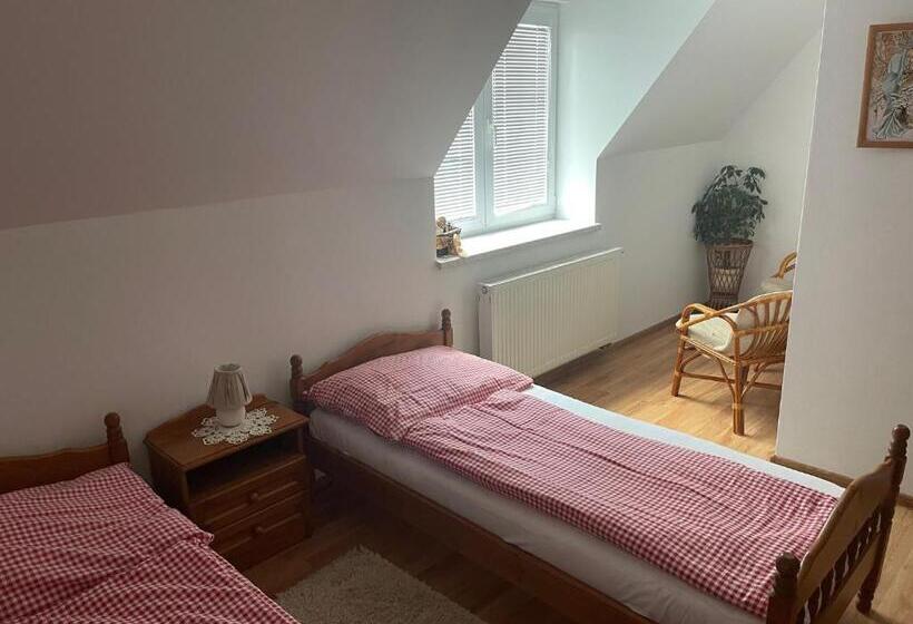 标准间, Penzion Olga Hajasova