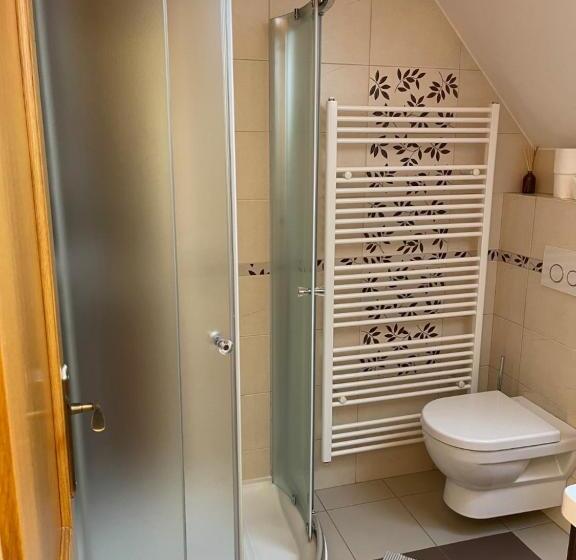 标准间带阳台, Penzion Olga Hajasova