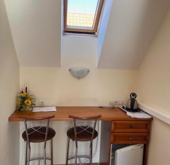 标准间带阳台, Penzion Olga Hajasova