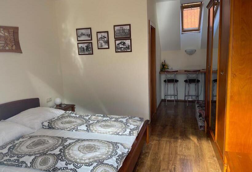 标准间带阳台, Penzion Olga Hajasova