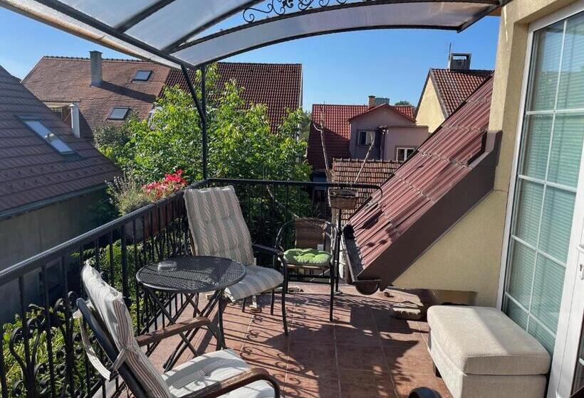 标准间带阳台, Penzion Olga Hajasova