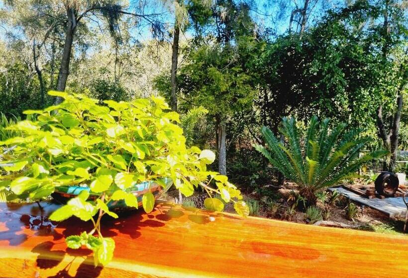 디럭스 룸, Birdsong Retreat   A Bnb On Lamb Island