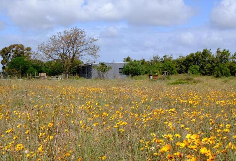 패밀리 스위트, Blue Sky Retreat