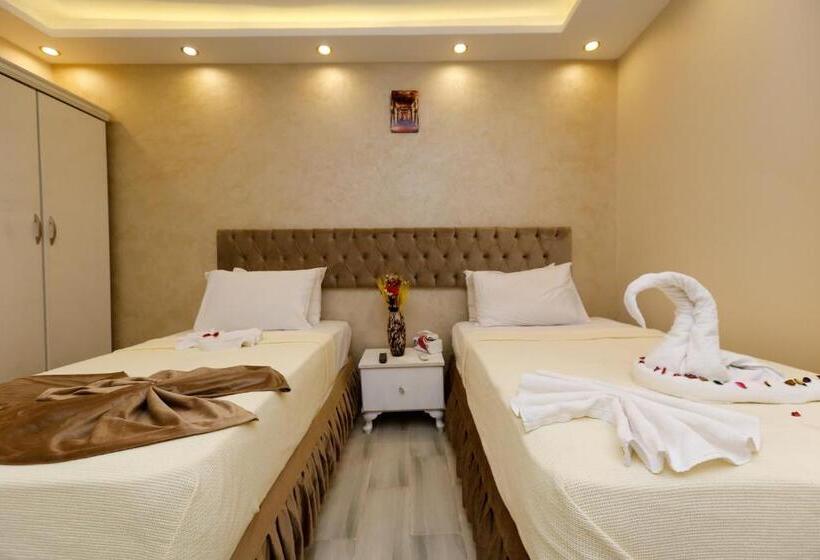 اتاق استاندارد با وان آب گرم, Venus Pyramids Inn   Top Roof Access W Free Break Fast