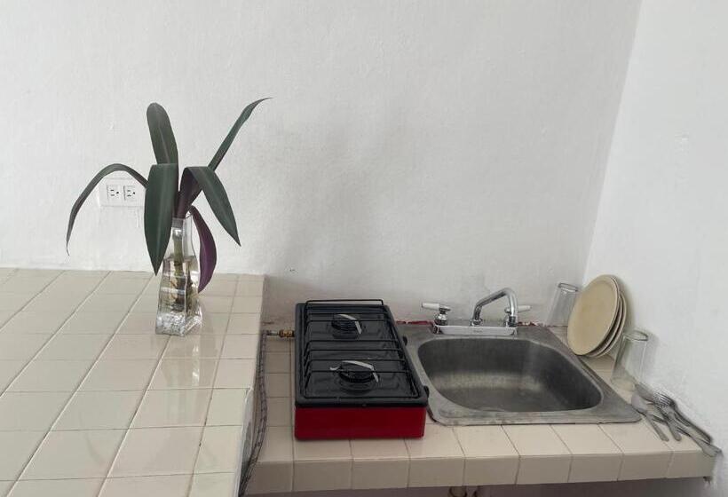 １ベッドルームアパートメント, Apartamentos Cupules