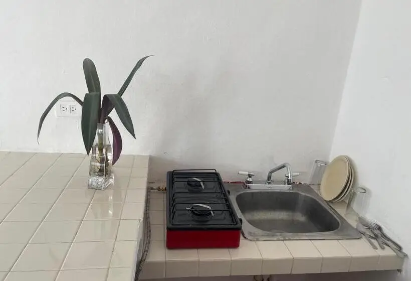 آپارتمان 1 خوابه, Apartamentos Cupules