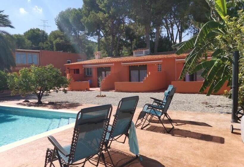 اتاق استاندارد چهار تخته, Relais Pollo Loco