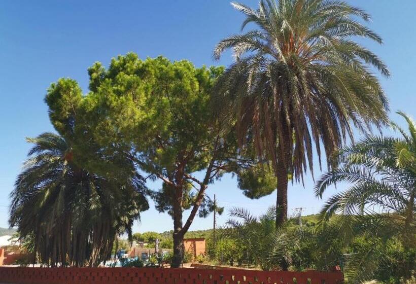 اتاق استاندارد چهار تخته, Relais Pollo Loco