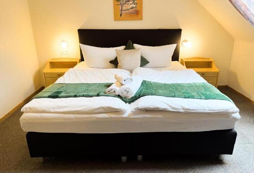 اتاق استاندارد, Harzhotel Grünett