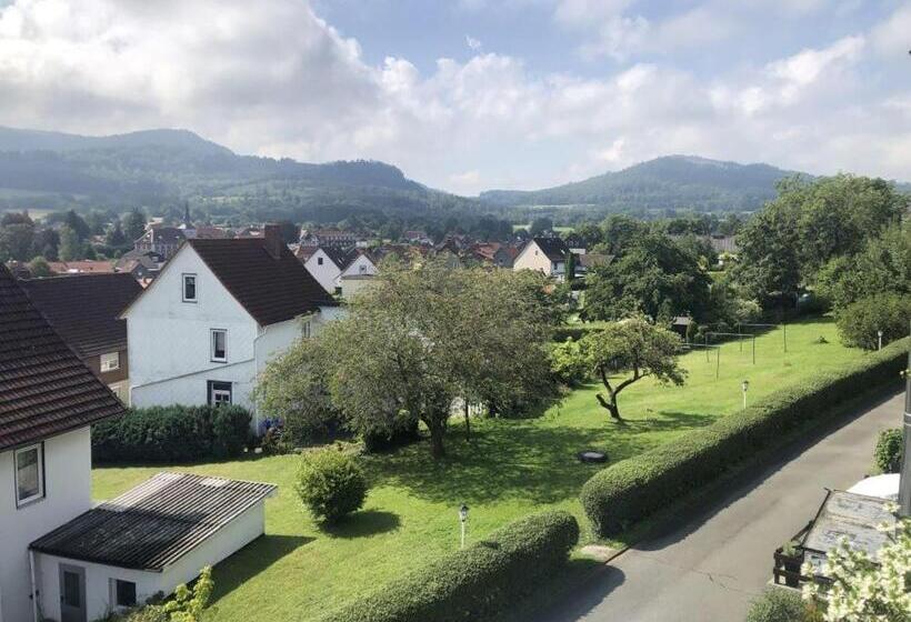 バルコニー付きスタンダードルーム, Harzhotel Grünett