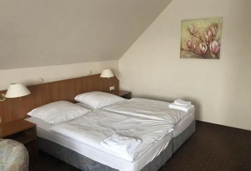 Standard-huone, Harzhotel Grünett