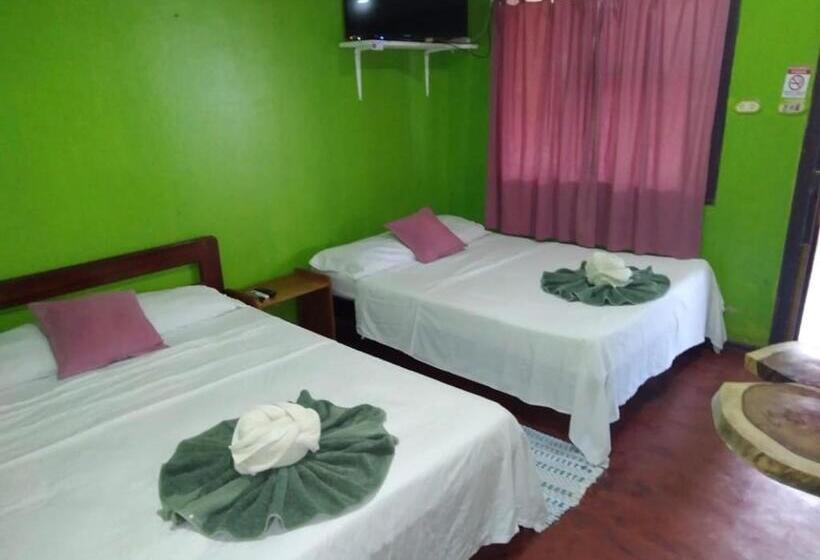 اتاق استاندارد, Cabinas Las Palmas