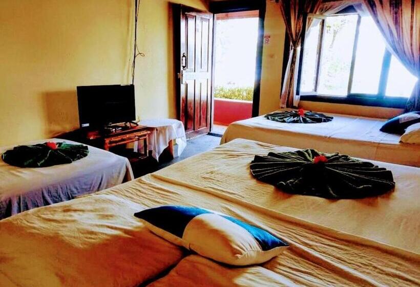 اتاق استاندارد, Cabinas Las Palmas