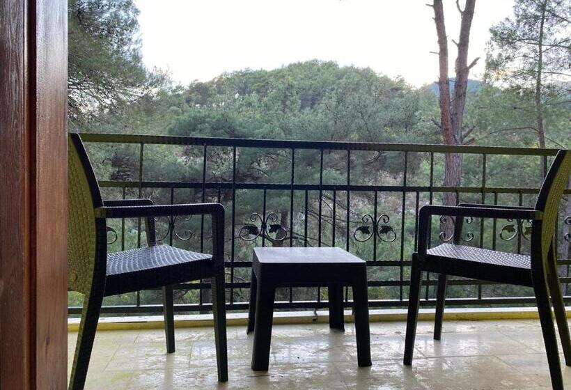 اتاق استاندارد با بالکن, Gökbük Sereni̇ty