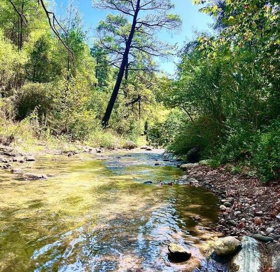 اتاق استاندارد با چشمانداز کوهستان, Gökbük Sereni̇ty