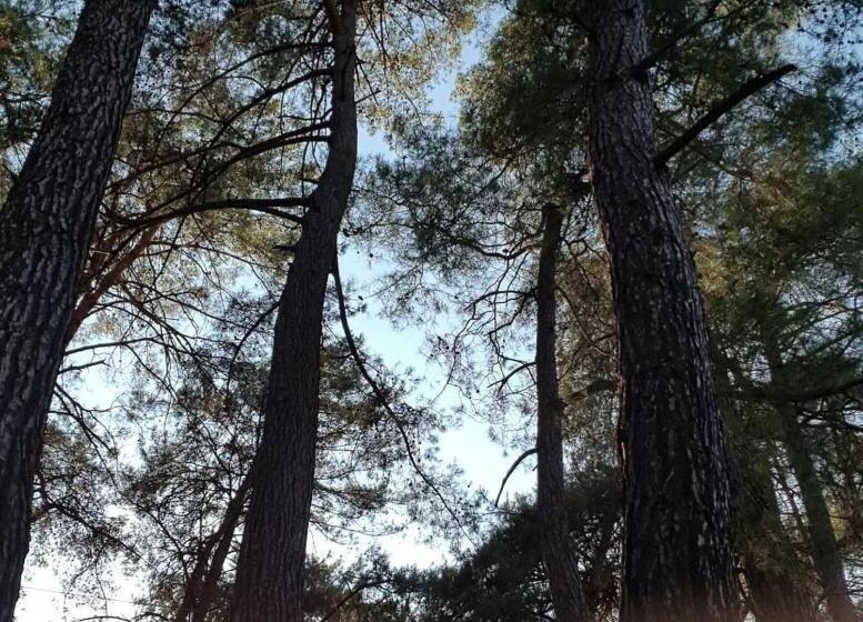 اتاق استاندارد با چشمانداز کوهستان, Gökbük Sereni̇ty