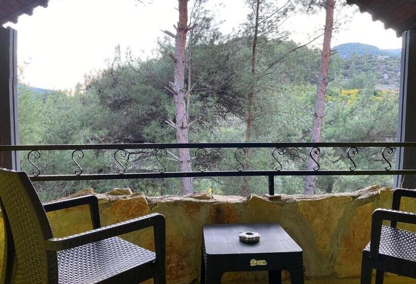 اتاق استاندارد با چشم‌انداز کوهستان, Gökbük Sereni̇ty