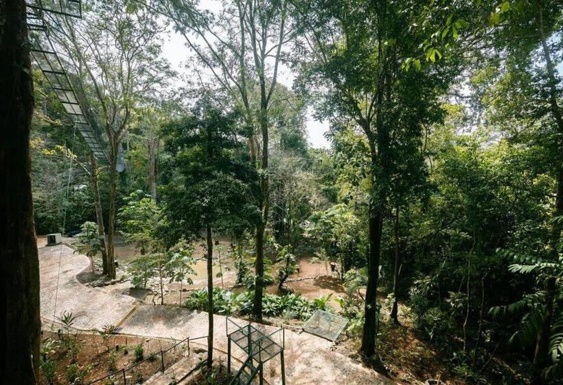 标准房带园景, Mountain Top Park