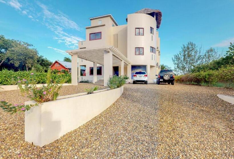 דירת שני חדרים, Parrotfish @ Les Caraibes