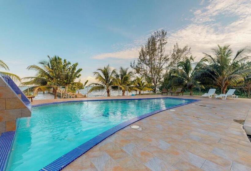 דירת שני חדרים, Parrotfish @ Les Caraibes