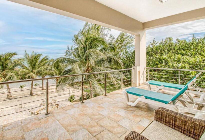 דירת שני חדרים, Parrotfish @ Les Caraibes