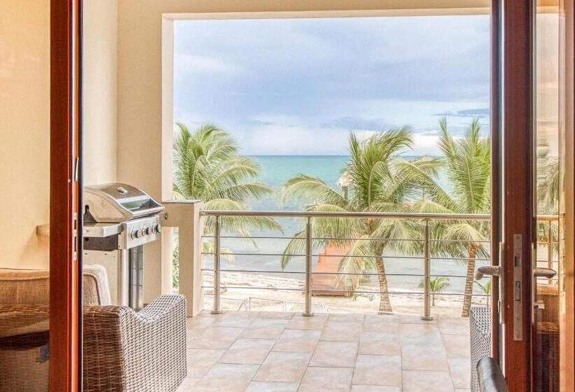 דירת שני חדרים, Parrotfish @ Les Caraibes