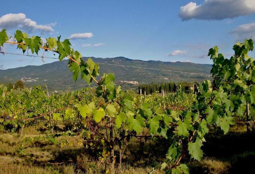 Дом 4 Спальни, La Favilletta Casa Vacanze