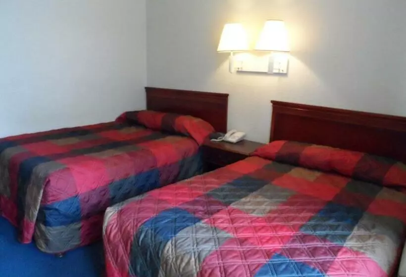 クラシックルーム, Carpet Inn
