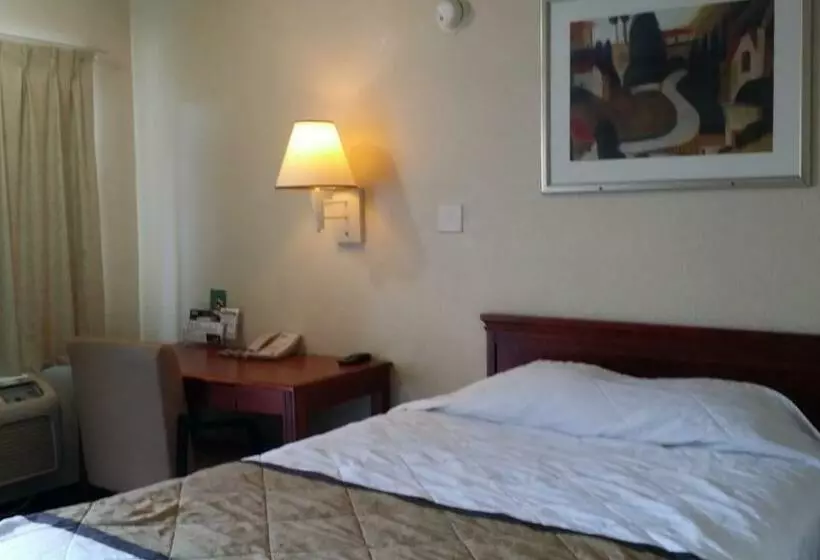スタンダードルーム, Carpet Inn