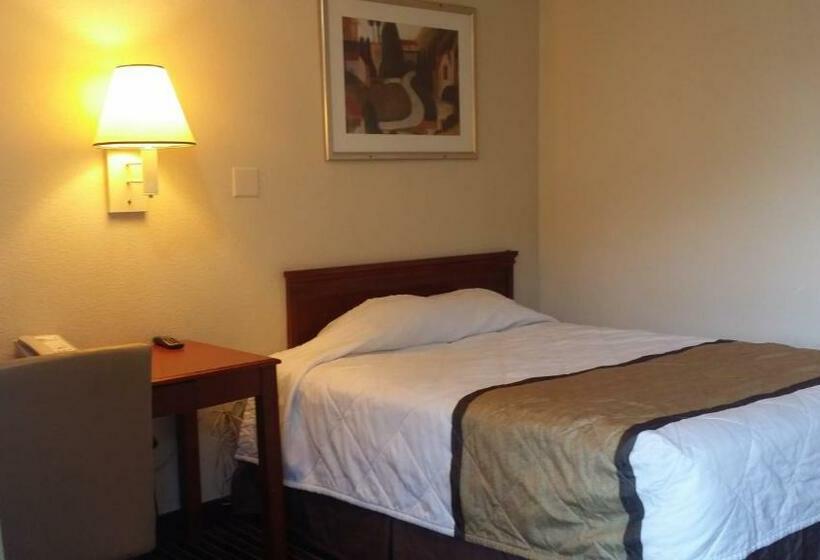 스탠다드 룸, Carpet Inn