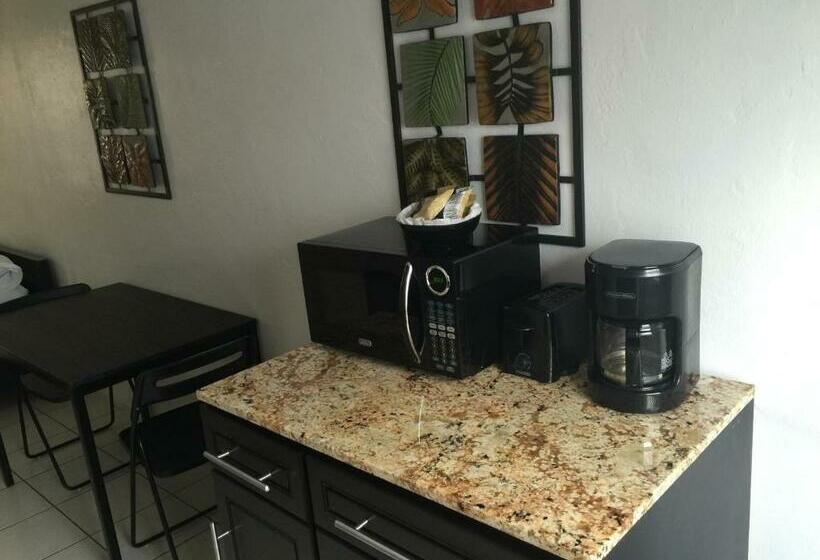 Студия Deluxe, Pelican By The Sea