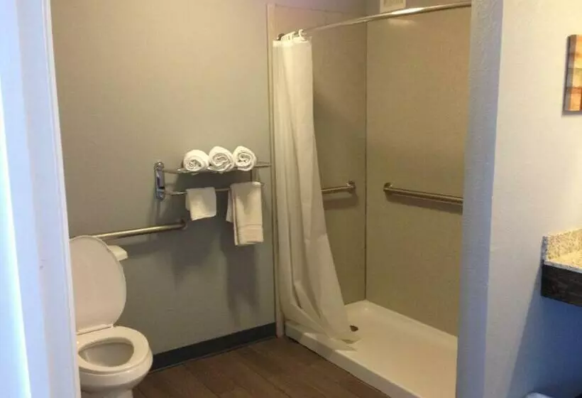 キングサイズベッドのスタンダードルーム, Safari Inn Murfreesboro