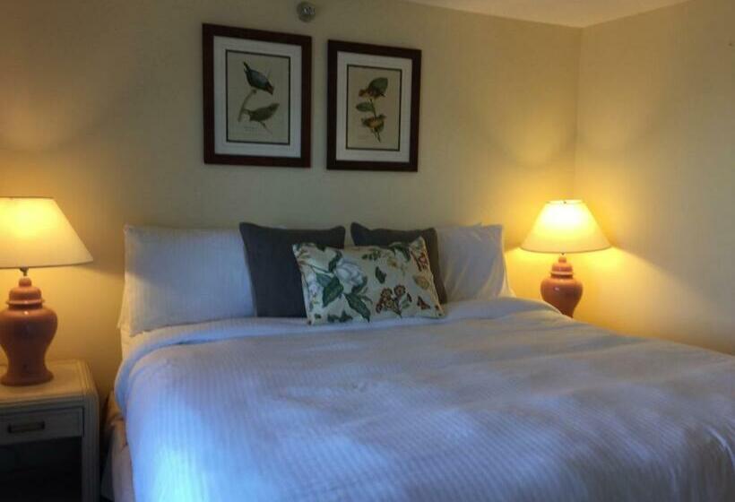 스탠다드 룸 킹사이즈 침대, The Beach Rose Inn