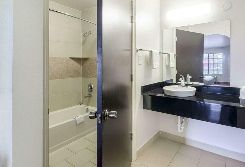 스탠다드 룸 킹사이즈 침대, Motel 6 Canton, Tx