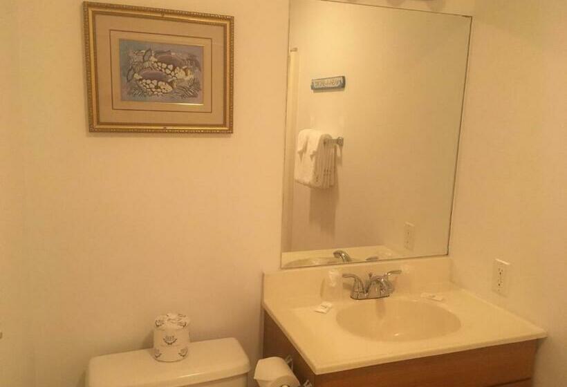 Студия Стандарт, Ocean Cove Motel