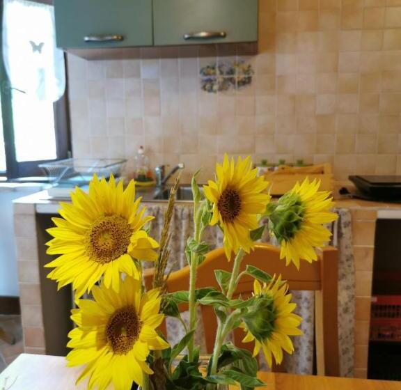 家庭套房, Agriturismo Rian D Oliva