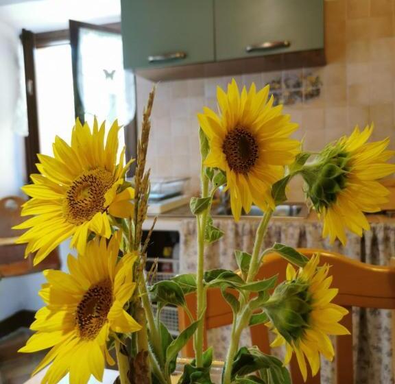 家庭套房, Agriturismo Rian D Oliva