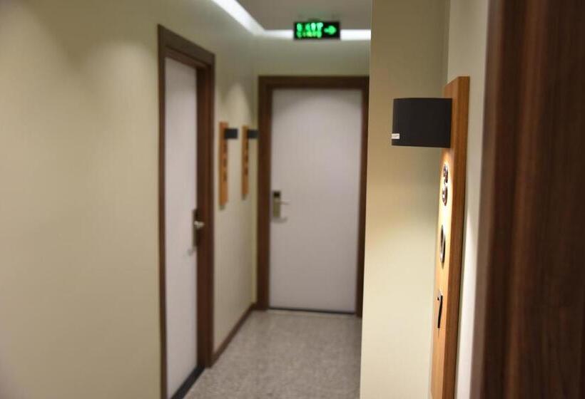 豪华套房, Edwin Plus