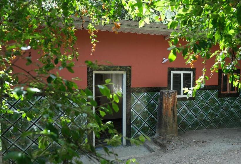 جناح عائلي, Qatsyir Horizon