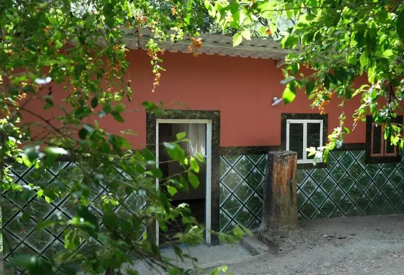 Perhesviitti, Qatsyir Horizon
